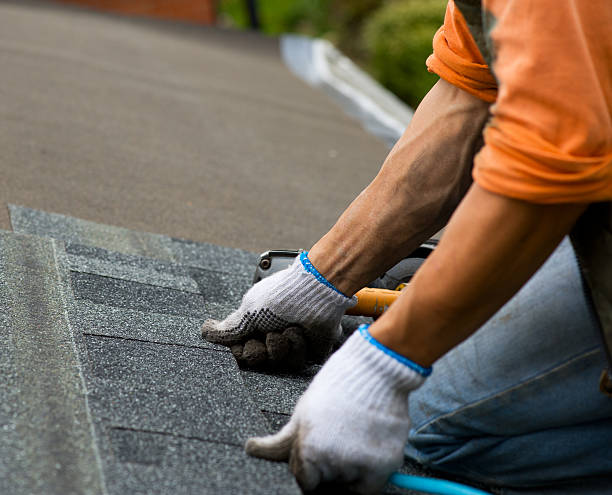 Best Roof Gutter Cleaning  in Hamilton, TX